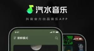 qishuiyinyue-7